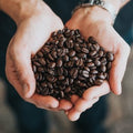 Single Origin