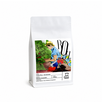 ROR Costa Rica Sol Dorado – 250g
