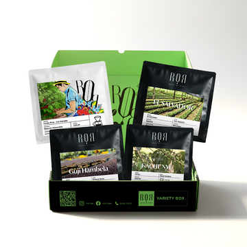 ROR Filter Variety Box