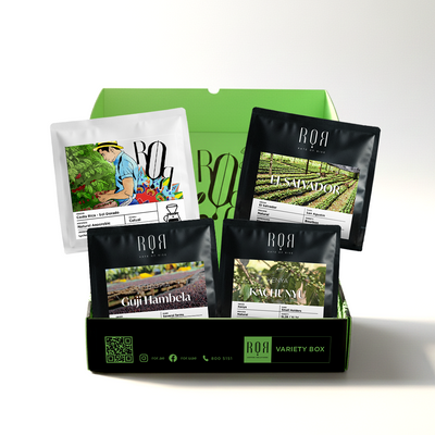 ROR Filter Variety Box